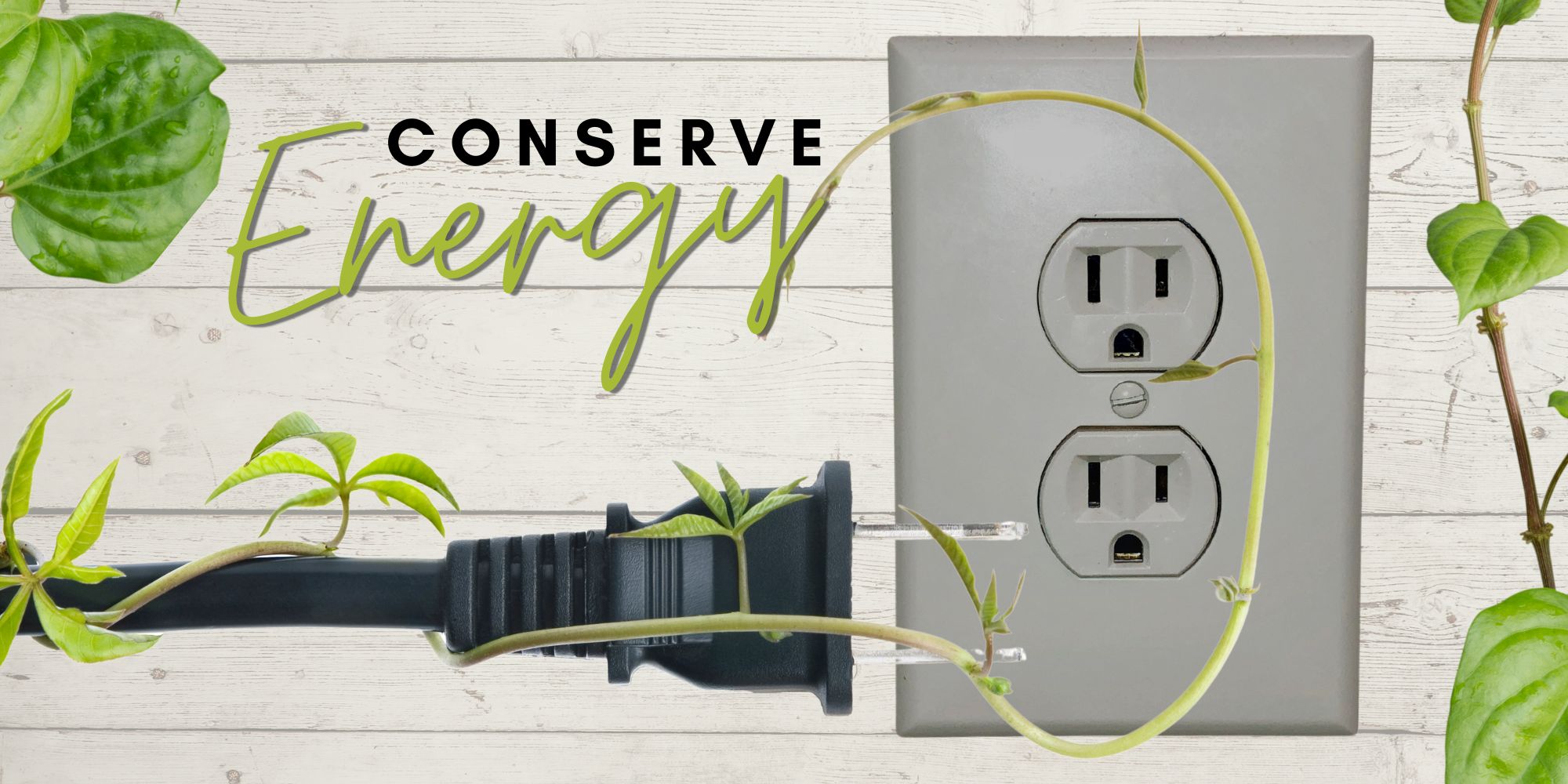 Now’s the Time to Conserve Energy