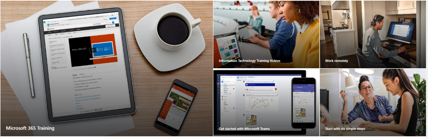 Introducing Our New Training and Adoption Site! - Henrico HR