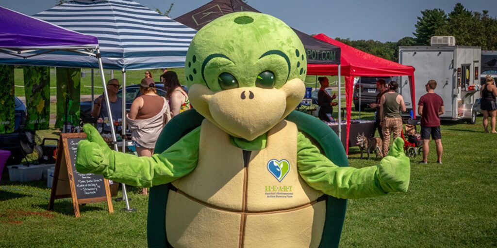 Stewart, H.E.A.R.T.'s turtle mascot, at a outdoor festival giving two thumbs up