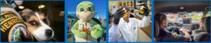 Image banner with four photos of Henrico Animal Protection personnel holding a dog; Henrico's H.E.A.R.T. mascot Stewart the Turtle; Public Utilities personnel testing samples; and Henrico police personnel operating an in-car computer system.
