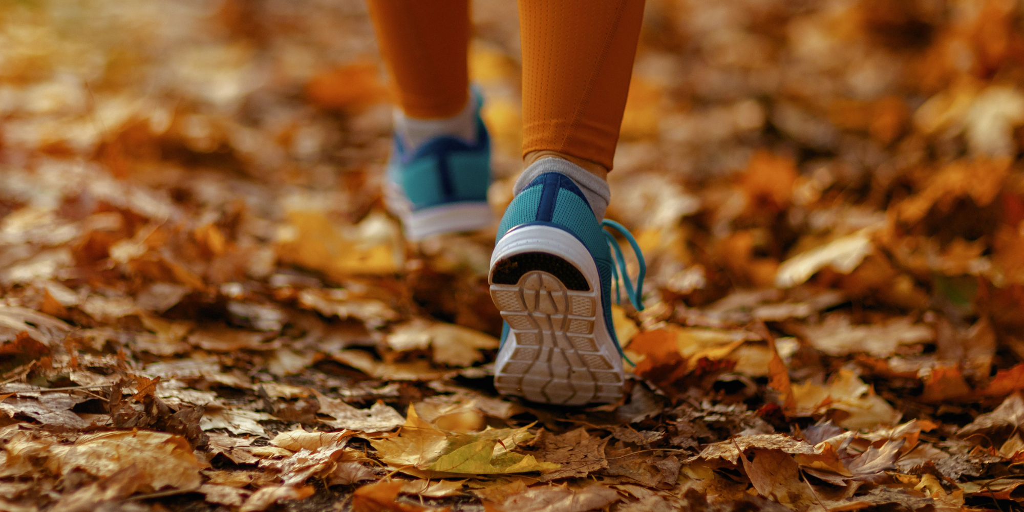 Fall Fitness and Wellness Focuses